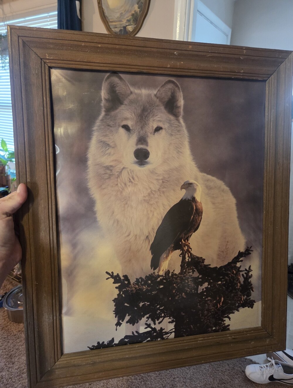 Framed Wildlife Art Print - Wolf & Bald Eagle in Brown Wood Frame Vintage